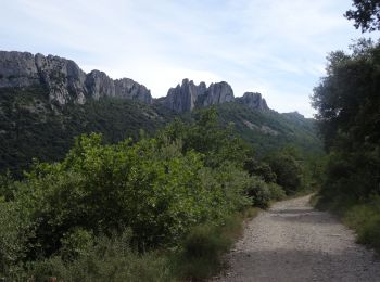 Tour Mountainbike Le Barroux - Le tour des dentelles de Montmirail depuis Bédoin VTT AE - Photo