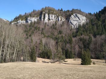 Trail Walking Chassal-Molinges - Chassal Le Truchet - Photo