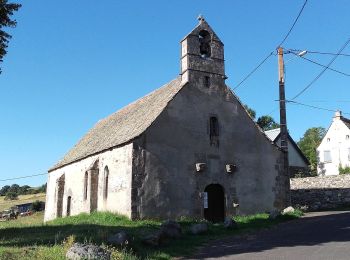 Excursión A pie Anzat-le-Luguet - Le Signal du Luguet - Photo