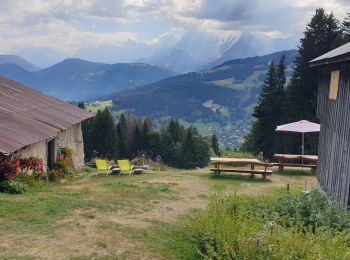 Tour Laufen Demi-Quartier - Chalet de la vieille  - Photo