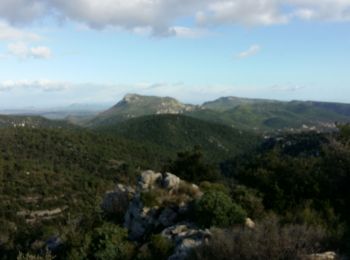 Tocht Mountainbike La Roquebrussanne - Vallescure  - Photo