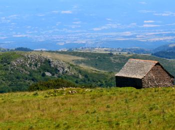 Excursión Senderismo Anzat-le-Luguet - Anzat_Luguet_Signal - Photo