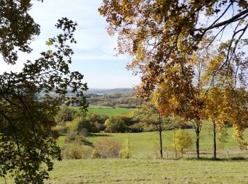 Percorso Mountainbike Lavalade - VTT vers Biron - Photo