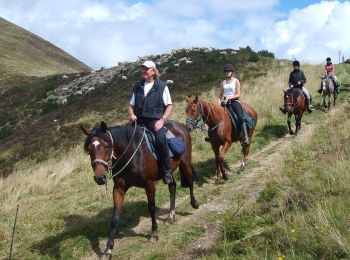 Trail Horseback riding Saint-Jacques-d'Ambur -  ORCIVAL / SAINT JACQUES D'AMBUR 34kms - Photo