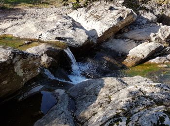 Trail Walking Les Mayons - LES MAYONS - SENTIER DU DECAUVILLE - Photo