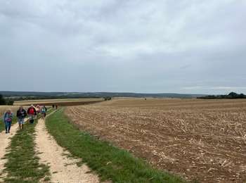 Tocht Stappen Dampierre-sous-Bouhy - 58 Dampierre-sous-Bouhy (Etang de l'Angelier) - Photo