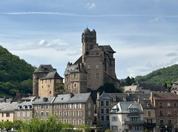 Trail sport Saint-Côme-d'Olt - Saint-Jacques deux St Côme > estaing - Photo