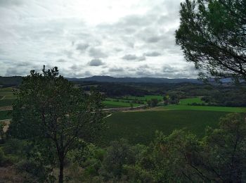 Trail Walking Saint-Hilaire - saint hilaire 30-09-2019 - Photo