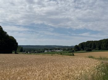 Tocht sport Attert - Balisage GR 15 - Photo