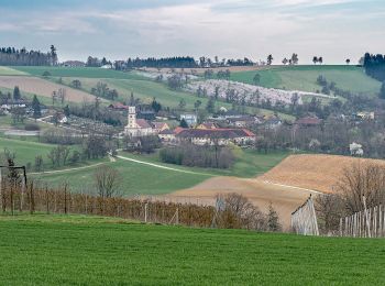 Randonnée A pied Scharten - Panoramaweg - Photo