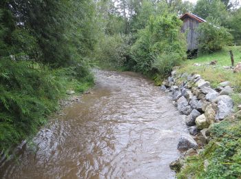 Tocht Te voet Slovenj Gradec - Šmarška farna pot - Photo