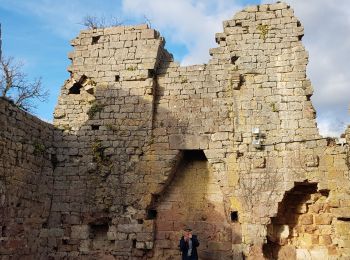 Trail Walking Carennac - Ruines de Taillefer - Photo