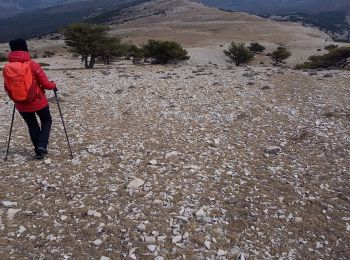 Randonnée Marche Caille - Cime de l'Audibergue  - Photo