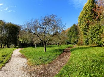 Tocht Te voet Glashütten - Glashütten Salzlecken-Rundweg - Photo