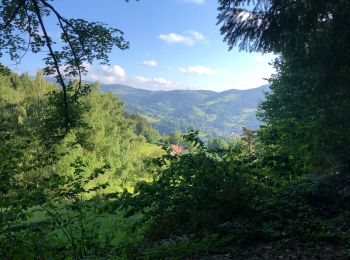 Trail Walking Munster - Tour vallée munster - Photo