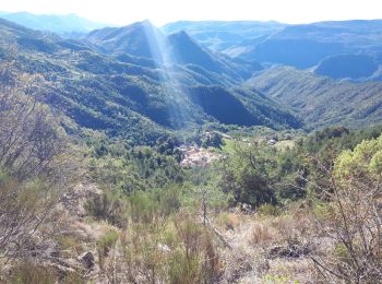 Tocht Stappen Toudon - Cime des Colettes par col de Vial - Photo