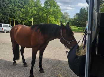 Tour Pferd Porzelet - Wikiloc - Porcelette - Grotte des russes - Photo