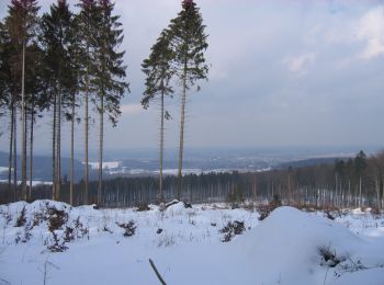 Trail On foot Preußisch Oldendorf - A2 Preußisch Oldendorf-Holzhausen - Photo