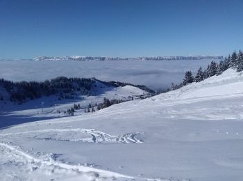 Tour Skiwanderen Allevard - tricotage crête des Plagnes - Photo