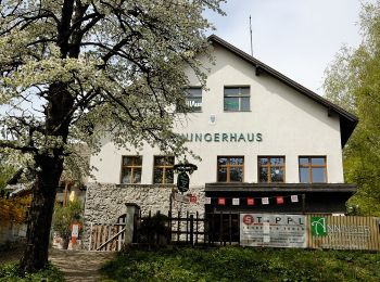 Tocht Te voet Gemeinde Hinterbrühl - Höldrichsmühle - Anningerhaus - Jubiläumswarte - Photo