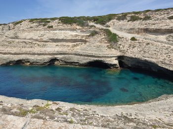 Randonnée Marche Bonifacio - falaises face a Bonifacio  - Photo