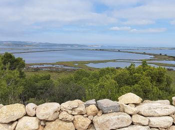 Randonnée Marche Port-la-Nouvelle - ile ste. Lucie en boucle - Photo