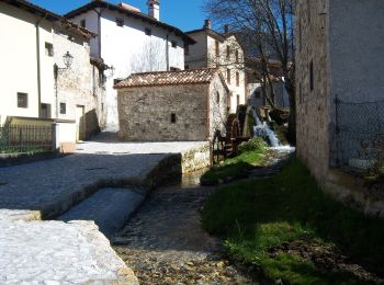 Trail On foot Tolmezzo - IT-443 - Photo