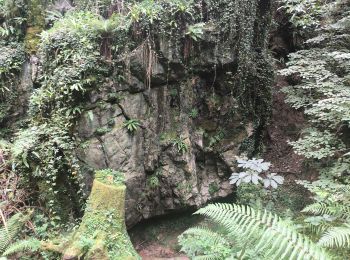 Tour Wandern Bagnères-de-Bigorre - Rando Le Monné - Photo