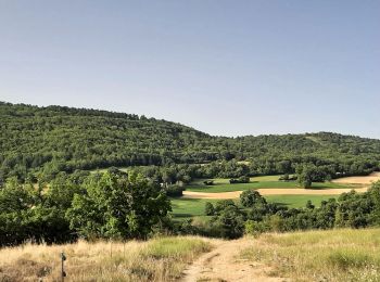 Percorso Marcia Villemus - lincel . Le gué du reculons.  Le prieuré d ardenne  - Photo