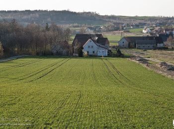 Percorso A piedi Dobroszów - Kuropatnik-Nowoleska Kopa - Photo