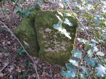 Trail Walking Tallenay - Royales bornes chailluz photos Michel - Photo