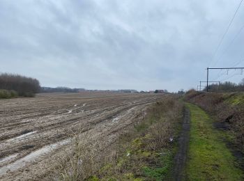 Randonnée Marche Brugelette - Brugelette , Chievre , Ladeuze, Tongre notre Dame , Chievre, Très, Brugelette - Photo