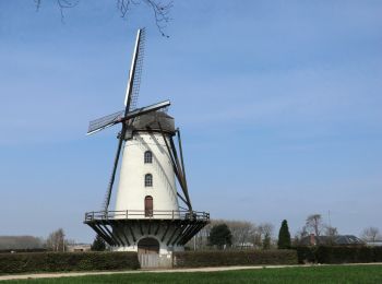 Tour Zu Fuß Lede - Vier Uiterstenroute (lus 1) - Photo