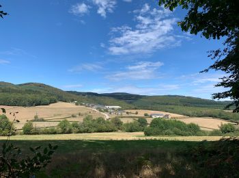 Tocht Stappen Saint-Léger-sous-Beuvray - Oppidum de Bibracte - Photo