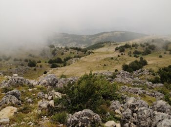 Randonnée Marche Gréolières - Cime du Cheiron  - Photo