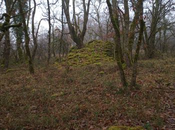 Excursión Senderismo Luzech - Fages_Pech-vert_Foulquet 6,5 - Photo