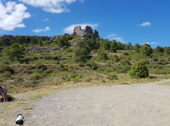 Tocht Stappen Opoul-Périllos - Karst perrios - Photo