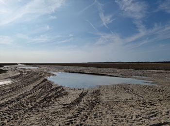 Excursión Senderismo Le Crotoy - La Maille - Pointe de St Quentin - Photo