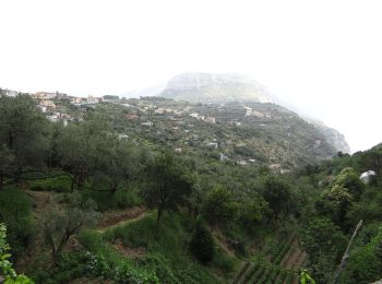 Trail On foot Pimonte - (SI S20S) Faito - Colli di Fontanelle - Photo