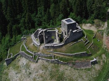 Tocht Te voet Bresimo - (SI C05) Bagni di Bresimo - Bevia - Castello di Altaguarda - Bassetta Giovèl - Malga Stablei - Mocenigo di Rumo - Photo