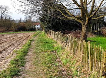 Trail Walking Chaumont-Gistoux - Bois³ de Villers, Vieusart & Brocsous - Photo