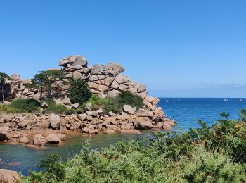 Excursión Senderismo Louannec - Tour Granit Rose - Photo