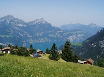 Trail On foot Flüelen - Wildheupfad - Photo