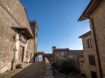 Tour Zu Fuß Buggiano - Buggiano Colle Cozzile - Photo