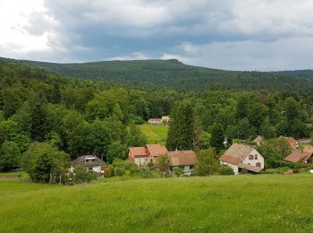 Trail Walking Le Hohwald - LE HOHWALD - Photo