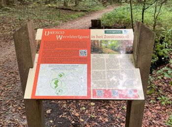 Tour Wandern Sint-Genesius-Rode - Grande Espinette breve - Photo