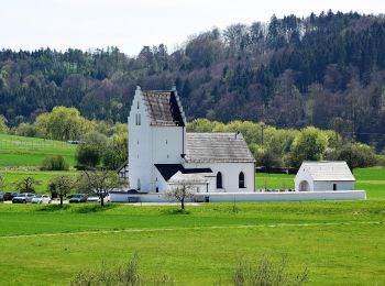 Excursión A pie Kipfenberg - Rundwanderweg Kipfenberg 10 - Photo