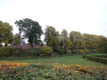 Trail On foot Montferland - Galgenberg route - Photo