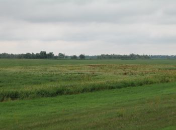 Tour Zu Fuß  - Annas Weg - Photo