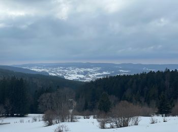 Tour Schneeschuhwandern Métabief - Les hauteurs de Metabief - Photo